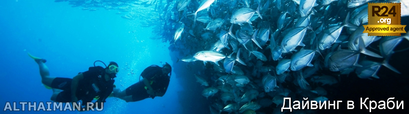 Краби, Таиланд, Тайланд, Krabi, Thailand, лучший отель в Краби, отели Краби, отдых в Краби, фото Краби, туры в Краби, дешевые авиабилеты в Краби,  острова Краби, ресторан, краби фото-отчёт, еда, ночной клуб, пляж, номер в отеле Краби, медовый месяц, на Краби