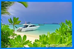 Остров Пхи Пхи, Koh Phi Phi Island, Краби, Южный Таиланд, Тайланд, Krabi, Thailand, лучший отель на Пхи Пхи, отели Пхи Пхи, отдых на Пхи Пхи, фото Пхи Пхи, туры на Пхи Пхи, дешевые авиабилеты в Краби,  острова Краби, ресторан, пхи пхи фото-отчёт, еда, ночной клуб, пляж, номер в отеле Пхи Пхи, медовый месяц на Пхи Пхи
