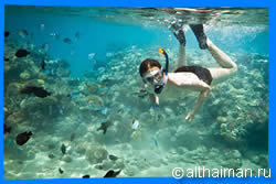 Остров Пхи Пхи, Koh Phi Phi Island, Краби, Южный Таиланд, Тайланд, Krabi, Thailand, лучший отель на Пхи Пхи, отели Пхи Пхи, отдых на Пхи Пхи, фото Пхи Пхи, туры на Пхи Пхи, дешевые авиабилеты в Краби,  острова Краби, ресторан, пхи пхи фото-отчёт, еда, ночной клуб, пляж, номер в отеле Пхи Пхи, медовый месяц на Пхи Пхи