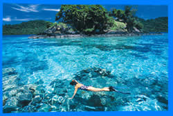 Phi Phi Islands Snorkeling, The Best Places for Snorkeling on Phi Phi Islands
