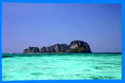 Mosquito Island snorkeling around phi phi