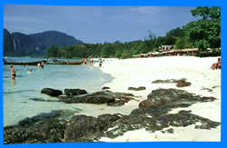 Shark Point and Long beach snorkeling on phi phi