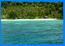 Koh Phi Phi Don east coast snorkeling