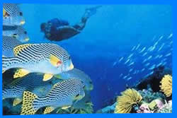 Ang Thong Marine National Park Information - Good to Know 