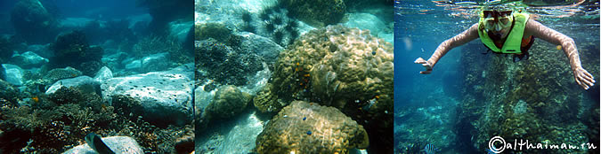 KOH TAO KOHTAO KOTAO KO TAO ISLAND_ОСТРОВ КОХ ТАО КО ТАО ТАУ КОТАУ КОТАО КОХТАО ТАИЛАНД