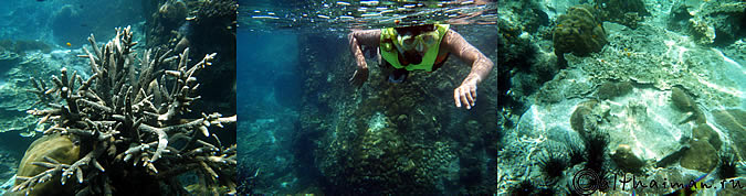 KOH TAO KOHTAO KOTAO KO TAO ISLAND_ОСТРОВ КОХ ТАО КО ТАО ТАУ КОТАУ КОТАО КОХТАО ТАИЛАНД
