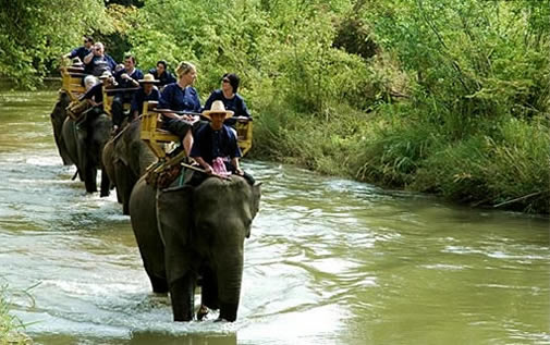 ������� �� �������� ������������� �������  ������� ������ ������� THAI NEWS