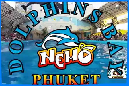 Dolphins Bay Nemo Phuket, Пхукет Отзывы