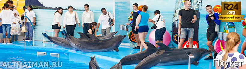 Dolphins Bay Nemo Phuket, Пхукет Отзывы
