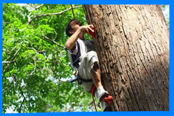 Парк Приключений Jungle Xtrem Adventures в Пхукете, Пхукет Отзывы,  Активный Отдых на Вершинах Деревьев в Чалонге