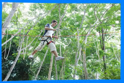 мПарк Приключений Jungle Xtrem Adventures в Пхукете, Пхукет Отзывы,  Активный Отдых на Вершинах Деревьев в Чалонге