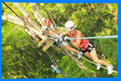 мПарк Приключений Jungle Xtrem Adventures в Пхукете, Пхукет Отзывы,  Активный Отдых на Вершинах Деревьев в Чалонге