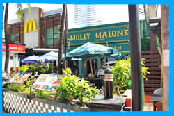 Ирландский Паб Molly Malone's