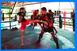 Тренировочный Лагерь Tiger Muay Thai в Пхукете