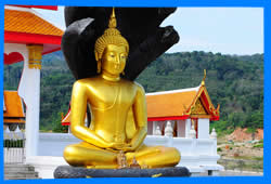 Храм Wat Mai Luang Pu Supha в Пхукете, Храм Luang Pu Supha, Старейшего Монаха в Тайланде