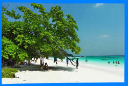 Коралловый остров (Coral Island)