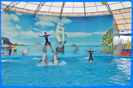 мПарк Приключений Jungle Xtrem Adventures в Пхукете, Пхукет Отзывы,  Активный Отдых на Вершинах Деревьев в Чалонге