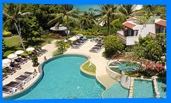 Andaman Cannacia