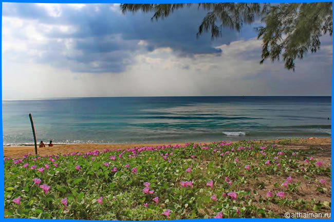 ПЛЯЖ МАЙ КАО  ПХУКЕТ MAI KHAO  BEACH PHUKET