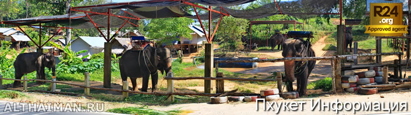 Пхукет, Таиланд, Тайланд, Phuket, Thailand, лучший отель на Пхукете, отели Пхукета, отдых на Пхукете, фото Пхукета, туры на Пхукет, дешевые авиабилеты на Пхукет,  острова Пхукета, ресторан, Пхукет фото-отчёт, еда, ночной клуб, Патонг, пляж, номер в отеле Пхукета, медовый месяц, на Пхукете