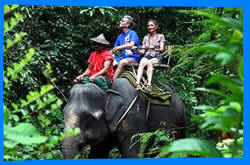 Поездки на Слонах в Банг Тао