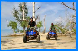 Туры на вездеходах ATV по мангровым лесам