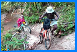 По мангровым лесам на горном велосипеде