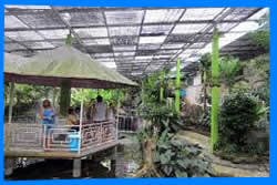 Сад Бабочек Пхукет (Phuket Butterfly Garden)