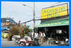 Паб Aussie Pub