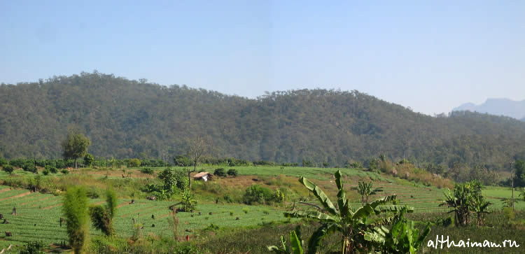 ChiangDao_ CHIANG MAI NORTH THAILAND HOTELS HOSTELS RESORTS BUNGALOWS_ ЧИАНГ МАЙ ЧАНГ МЕЙ СЕВЕРНЫЙ ТАИЛАНД