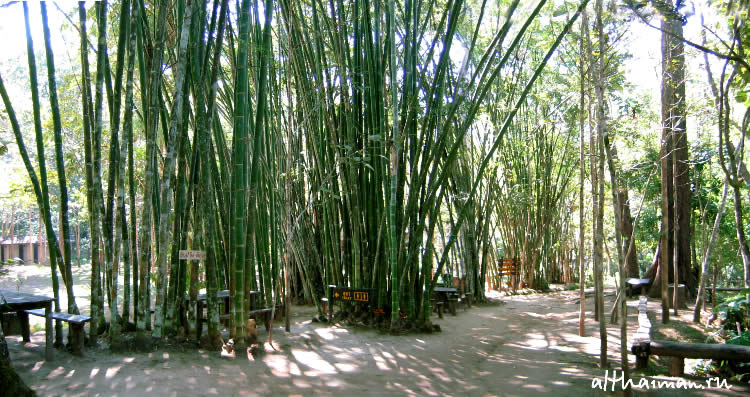 ChiangDao_ CHIANG MAI NORTH THAILAND HOTELS HOSTELS RESORTS BUNGALOWS_ ЧИАНГ МАЙ ЧАНГ МЕЙ СЕВЕРНЫЙ ТАИЛАНД