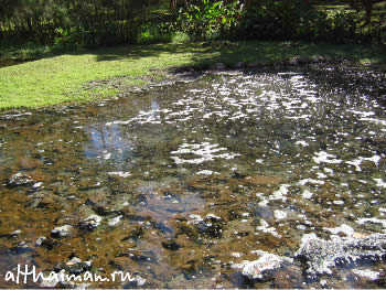 ChiangDao_ CHIANG MAI NORTH THAILAND HOTELS HOSTELS RESORTS BUNGALOWS_ ЧИАНГ МАЙ ЧАНГ МЕЙ СЕВЕРНЫЙ ТАИЛАНД