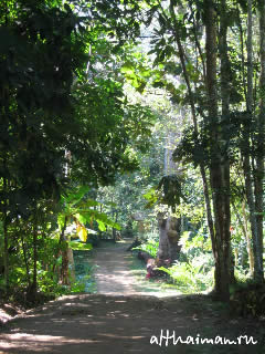 ChiangDao_ CHIANG MAI NORTH THAILAND HOTELS HOSTELS RESORTS BUNGALOWS_ ЧИАНГ МАЙ ЧАНГ МЕЙ СЕВЕРНЫЙ ТАИЛАНД