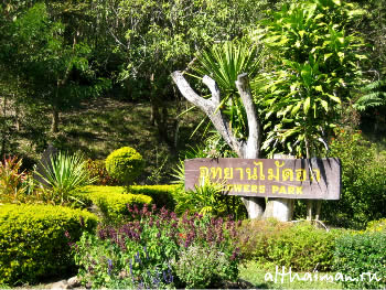 ChiangDao_ CHIANG MAI NORTH THAILAND HOTELS HOSTELS RESORTS BUNGALOWS_ ЧИАНГ МАЙ ЧАНГ МЕЙ СЕВЕРНЫЙ ТАИЛАНД