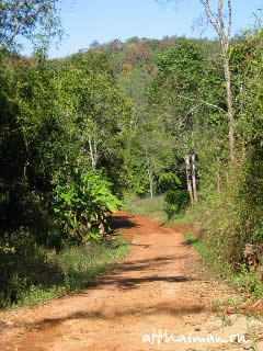 ChiangDao_ CHIANG MAI NORTH THAILAND HOTELS HOSTELS RESORTS BUNGALOWS_ ЧИАНГ МАЙ ЧАНГ МЕЙ СЕВЕРНЫЙ ТАИЛАНД