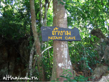 ChiangDao_ CHIANG MAI NORTH THAILAND HOTELS HOSTELS RESORTS BUNGALOWS_ ЧИАНГ МАЙ ЧАНГ МЕЙ СЕВЕРНЫЙ ТАИЛАНД