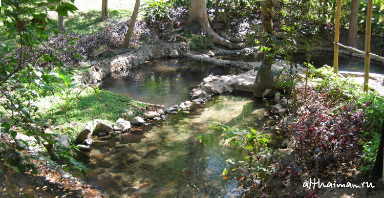 ChiangDao_ CHIANG MAI NORTH THAILAND HOTELS HOSTELS RESORTS BUNGALOWS_ ЧИАНГ МАЙ ЧАНГ МЕЙ СЕВЕРНЫЙ ТАИЛАНД