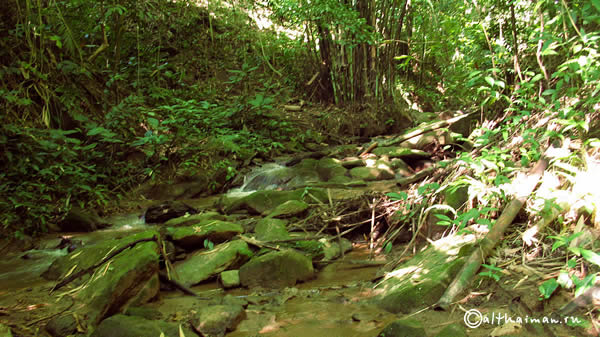 FANG HOT SPRINGS CHIANG MAI_DOI PHA HOM POK NATIONAL PARK_ЧИАНГ МАЙ ЧАНГ МЭЙ СЕВЕРНЫЙ ТАИЛАНД
