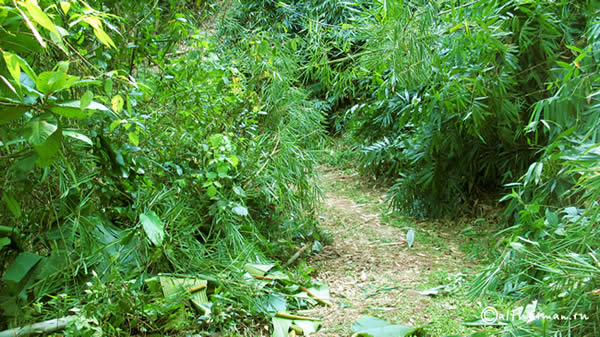 NA MA EUEN WATERFALL  CHIANG MAI_DOI PHA HOM POK NATIONAL PARK_ЧИАНГ МАЙ ЧАНГ МЭЙ СЕВЕРНЫЙ ТАИЛАНД