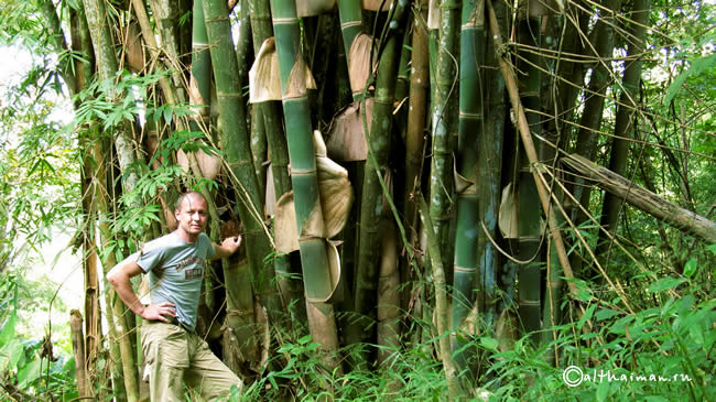 NA MA EUEN WATERFALL  CHIANG MAI_DOI PHA HOM POK NATIONAL PARK_ЧИАНГ МАЙ ЧАНГ МЭЙ СЕВЕРНЫЙ ТАИЛАНД