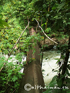 THAM PLA-PHA SUEA NAMTOK  NATIONAL PARK PA SUA WATERFALL MAE HONG SON NORTH THAILAND_СЕВЕРНЫЙ ТАИЛАНД ВОДОПАД ПА СЫА СУА МАЕ ХОНГ СОН ПЕЩЕРА РЫБ НАЦИОНАЛЬНЫЙ ПАРК