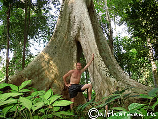 THILOSU_TILORSU_TILOSU_UMPANG_THAILAND_УМПАНГ_ВОДОПАД ТИЛОСУ_ТАИЛАНД