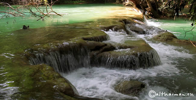 THILOSU_TILORSU_TILOSU_UMPANG_THAILAND_УМПАНГ_ВОДОПАД ТИЛОСУ_ТАИЛАНД