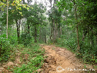 THILOSU_TILORSU_TILOSU_UMPANG_THAILAND_УМПАНГ_ВОДОПАД ТИЛОСУ_ТАИЛАНД