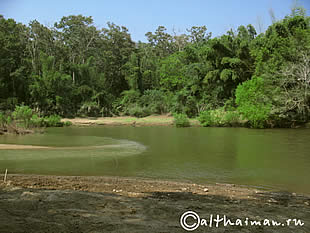 THILOSU_TILORSU_TILOSU_UMPANG_THAILAND_УМПАНГ_ВОДОПАД ТИЛОСУ_ТАИЛАНД