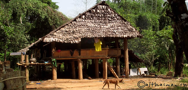 THILOSU_TILORSU_TILOSU_UMPANG_THAILAND_УМПАНГ_ВОДОПАД ТИЛОСУ_ТАИЛАНД