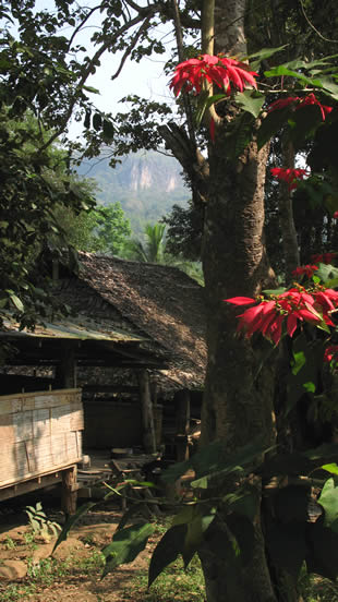 THILOSU_TILORSU_TILOSU_UMPANG_THAILAND_УМПАНГ_ВОДОПАД ТИЛОСУ_ТАИЛАНД