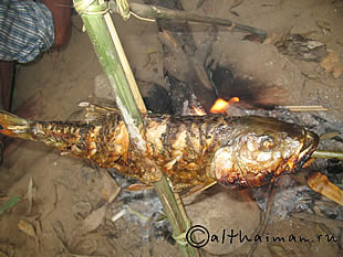 THILOSU_TILORSU_TILOSU_UMPANG_THAILAND_УМПАНГ_ВОДОПАД ТИЛОСУ_ТАИЛАНД
