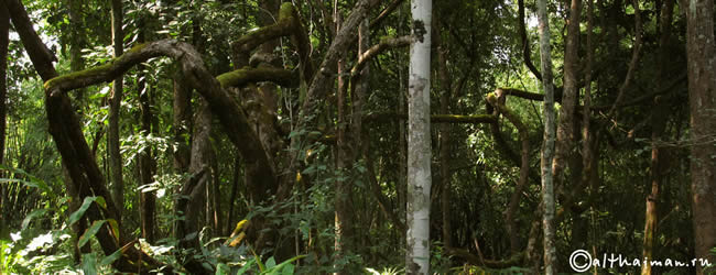 THILOSU_TILORSU_TILOSU_UMPANG_THAILAND_УМПАНГ_ВОДОПАД ТИЛОСУ_ТАИЛАНД