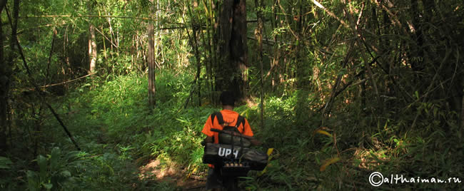 THILOSU_TILORSU_TILOSU_UMPANG_THAILAND_УМПАНГ_ВОДОПАД ТИЛОСУ_ТАИЛАНД